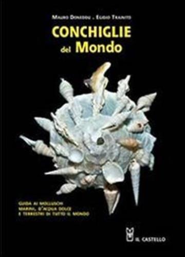 Conchiglie Dal Mondo. Guida Ai Molluschi Marini, D'acqua Dolce E Terrestri Di Tutto Il Mondo. Ediz. Illustrata