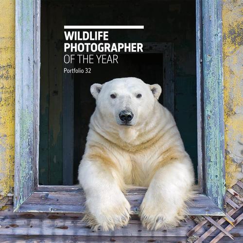 Rosamund Kidman Cox - Wildlife Photographer Of The Year: Portfolio 32