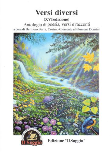 Versi Diversi. Antologia Di Poesia, Versi E Racconti 16 Edizione