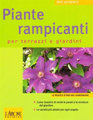 Le Piante Rampicanti Per Terrazzi E Giardini