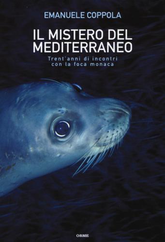 Il Mistero Del Mediterraneo. Trent'anni Di Incontri Con La Foca Monaca. Ediz. Illustrata