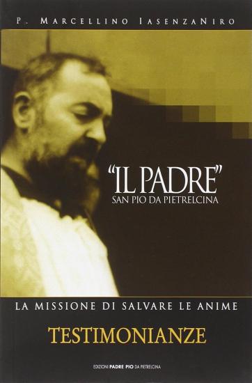 Il Padre san Pio da Pietrelcina. La missione di salvare le anime. Vol. 1