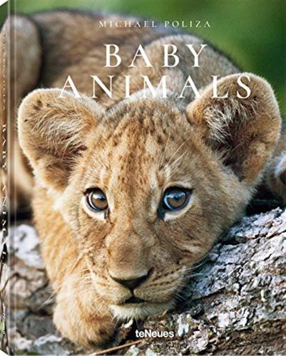 Baby Animals. Ediz. Inglese, Tedesca E Francese