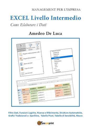 Excel. Livello Intermedio