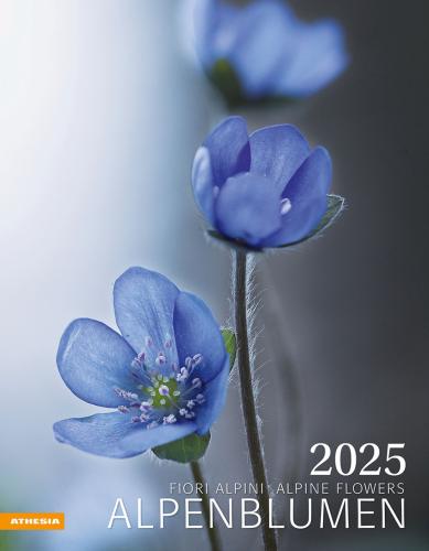 Calendario 2025 Alpenblumen - Fiori Alpini