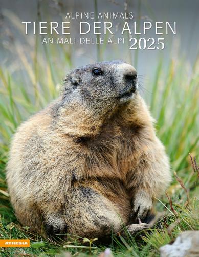 Calendario 2025 Tiere Der Alpen - Animali Delle Alpi