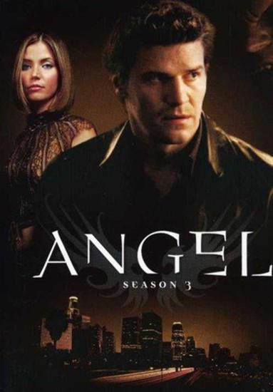 Angel: Season 3 [Edizione in lingua inglese]
