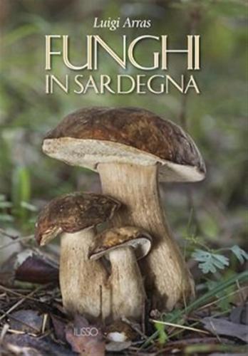 Funghi In Sardegna