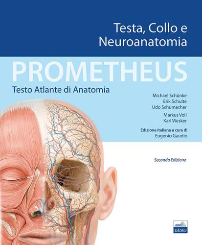 Prometheus. Atlante Di Anatomia. Testa, Collo E Neuroanatomia