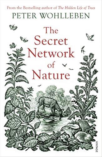 The Secret Network Of Nature: The Delicate Balance Of All Living Things