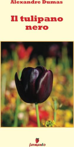 Il Tulipano Nero