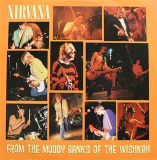 From The Muddy Banks Of The Wishkah (2 Lp)