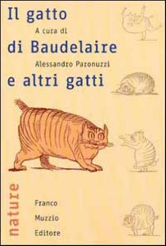 Il Gatto Di Baudelaire E Altri Gatti