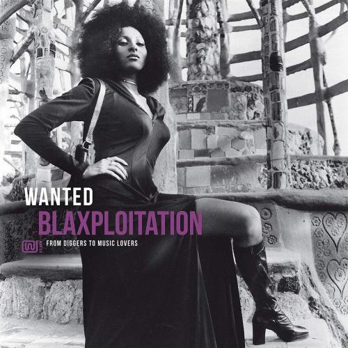 Wanted Blaxploitation / Various
