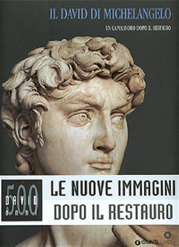 Il David di Michelangelo. Un capolavoro dopo il restauro