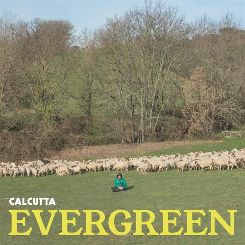 Evergreen (12