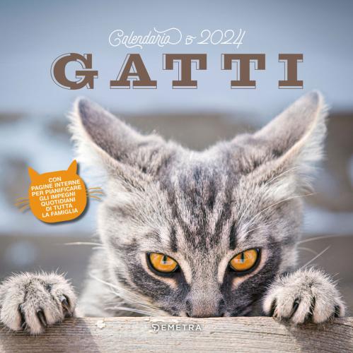 Calendario Gatti 2024 Da Parete (30 X 30 Cm). Ediz. Illustrata