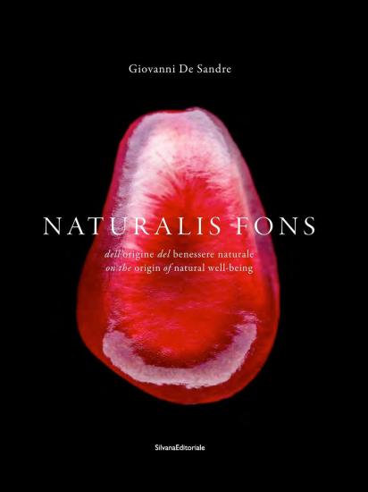 Naturalis fons. Dell'origine del benessere naturale. Ediz. italiana, inglese e francese