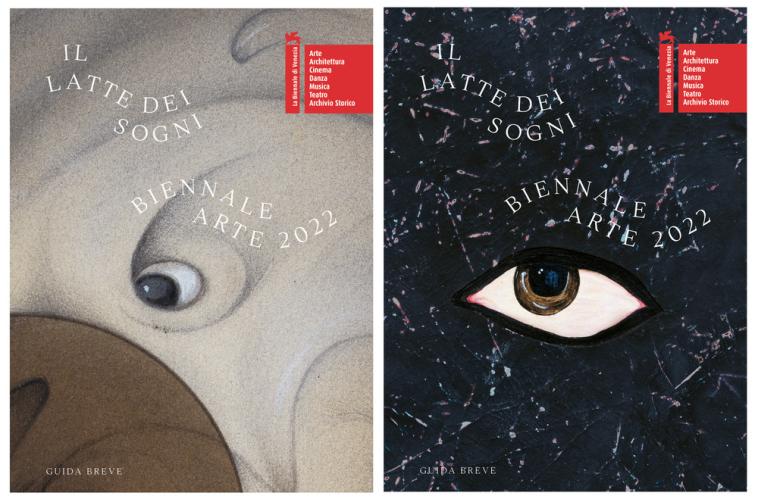 La Biennale Di Venezia. 59 Esposizione Internazionale D'arte. Il Latte Dei Sogni. Ediz. Illustrata