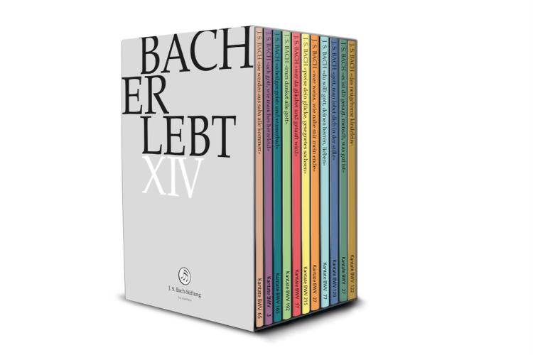 Bach Erlebt Xiv (11 Dvd)