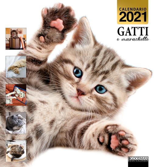 Gatti e marachelle. Calendario 2021