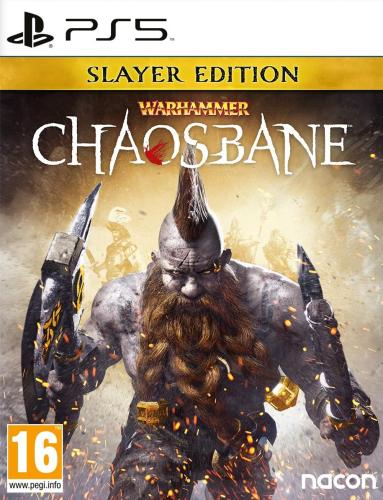 Playstation 5: Warhammer Chaosbane Slayer Edition