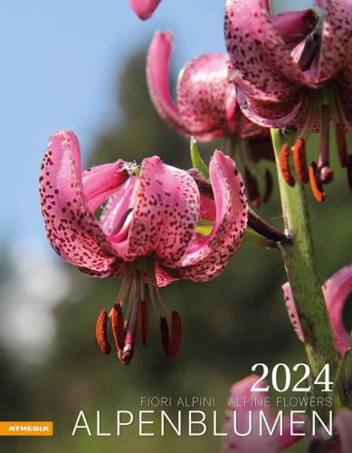Alpenblumen-fiori Alpini-alpine Flowers. Calendario 2024. Ediz. Multilingue