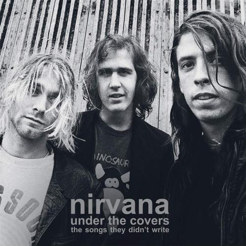 Under The Covers (2 Lp)