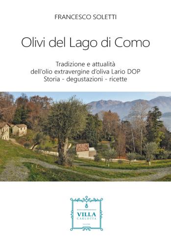 Olivi Del Lago Di Como. Tradizione E Attualit