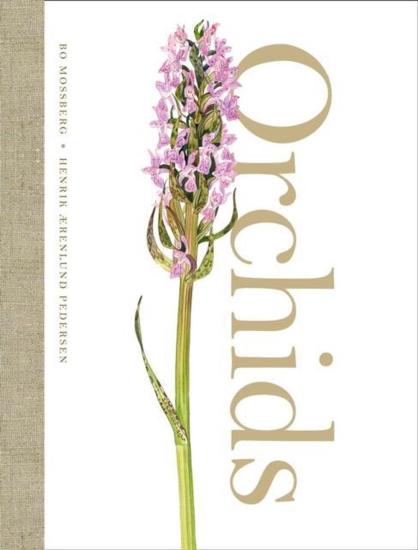 Pedersen, Henrik Aerenlund - Orchids [Edizione: Regno Unito]