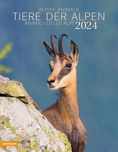 Tiere Der Alpen-animali Delle Alpi-alpine Animals. Calendario 2024. Ediz. Multilingue