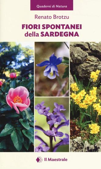 Fiori spontanei della Sardegna. Ediz. illustrata