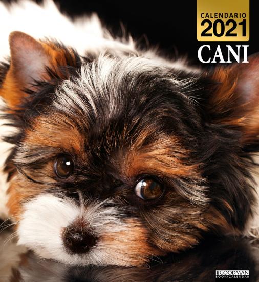 Cani. Calendario 2021