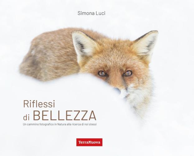 Riflessi Di Bellezza. Un Cammino Fotografico In Natura Alla Ricerca Di Se Stessi. Ediz. Illustrata