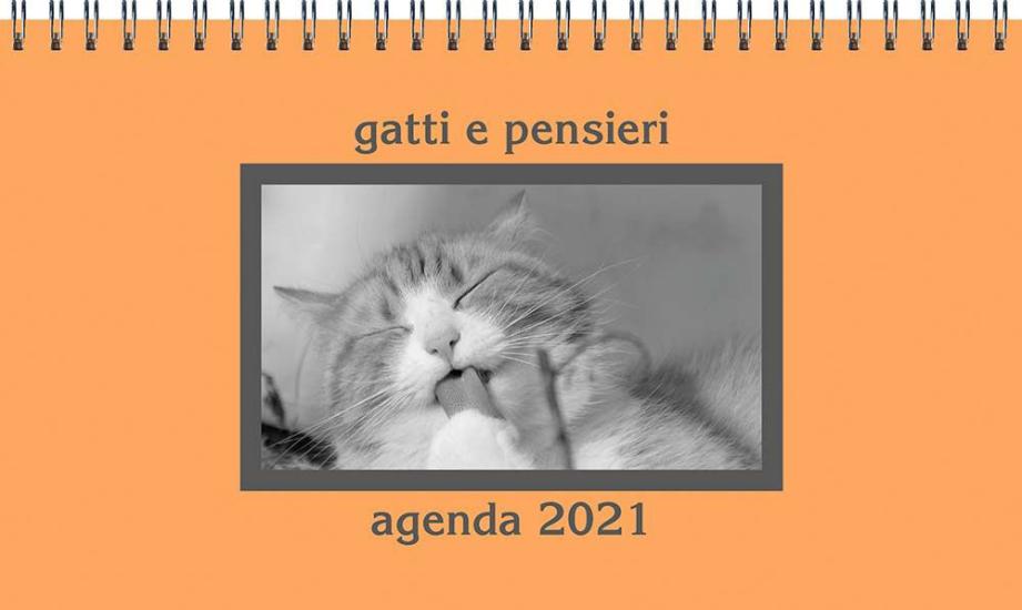 Gatti e pensieri. Agenda 2021