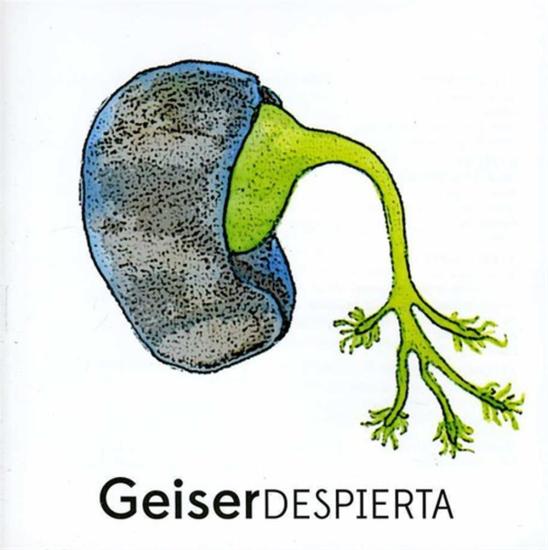 Geiser-Despierta / Various