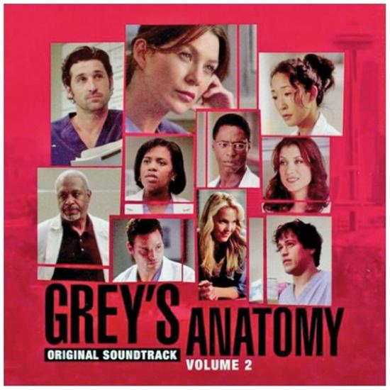 Grey's Anatomy Volume 2