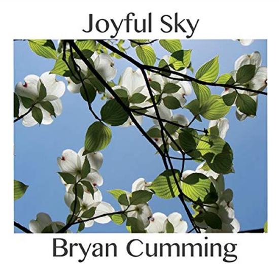Joyful Sky