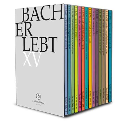 Bach Erlebt Xv (14 Dvd)