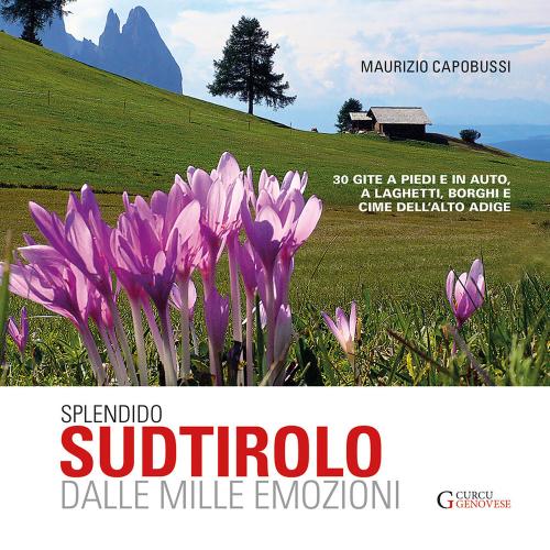 Splendido Sudtirolo Dalle Mille Emozioni. 30 Gite A Piedi E In Auto, A Laghetti, Borghi E Cime Dell'alto Adige
