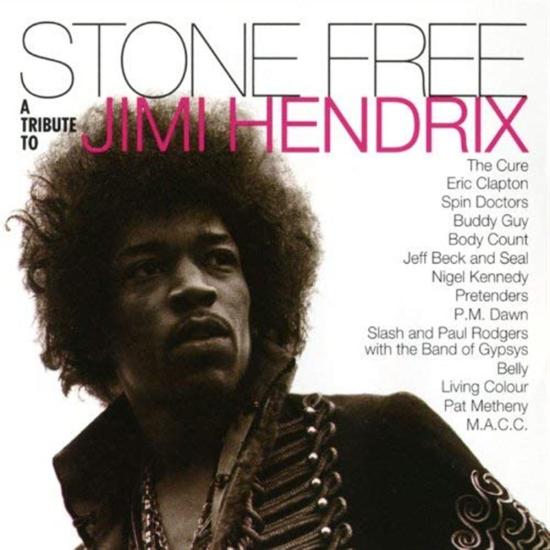 Stone Free: A Tribute To Jimi Hendrix / Various