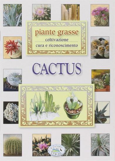 Cactus. Piante grasse