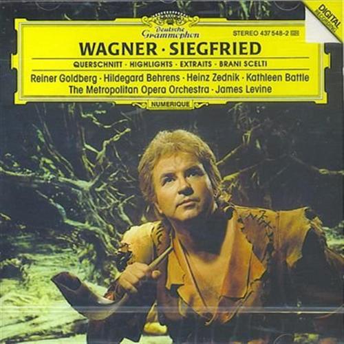 Siegfried - Querschnitt Dgg