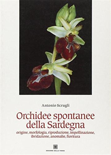 Orchidee Spontanee Della Sardegna. Origine, Morfologia, Riproduzione, Impollinazione, Ibridazione, Anomalie, Fioritura
