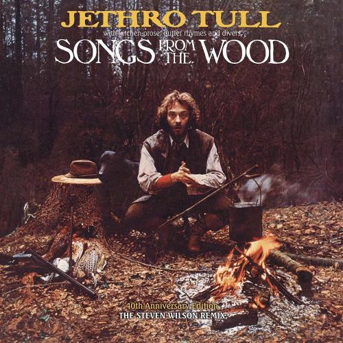 Songs From The Wood (1 Vinile)