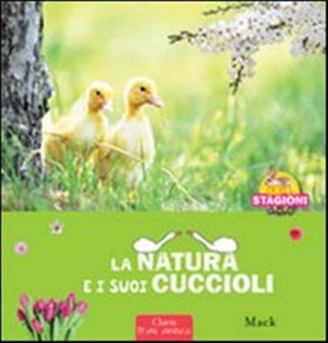 La Natura E I Sui Cuccioli. Le 4 Stagioni. Ediz. Illustrata