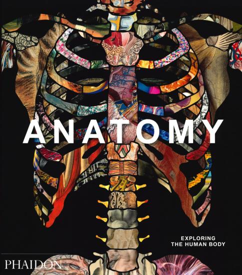 Anatomy. Exploring the human body. Ediz. illustrata