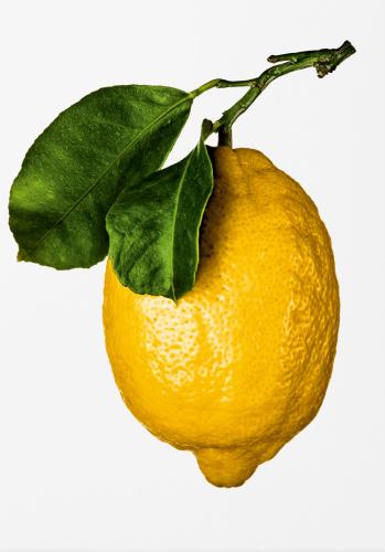 The Gourmand's Lemon. A Collection Of Stories & Recipes