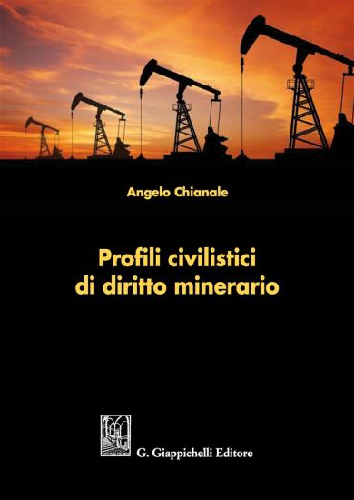 Profili civilistici di diritto minerario