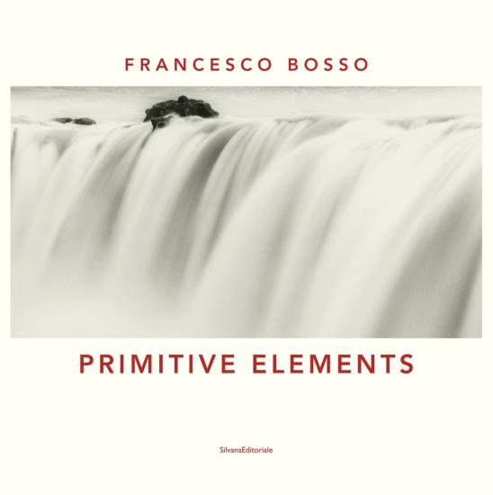 Primitive elements. Catalogo della mostra (Milano, ottobre-diecmbre 2019) Ediz. italiana e inglese